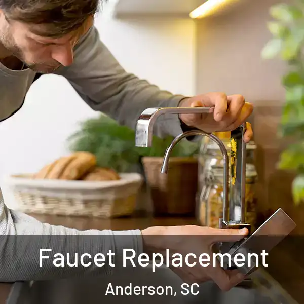  Faucet Replacement Anderson, SC