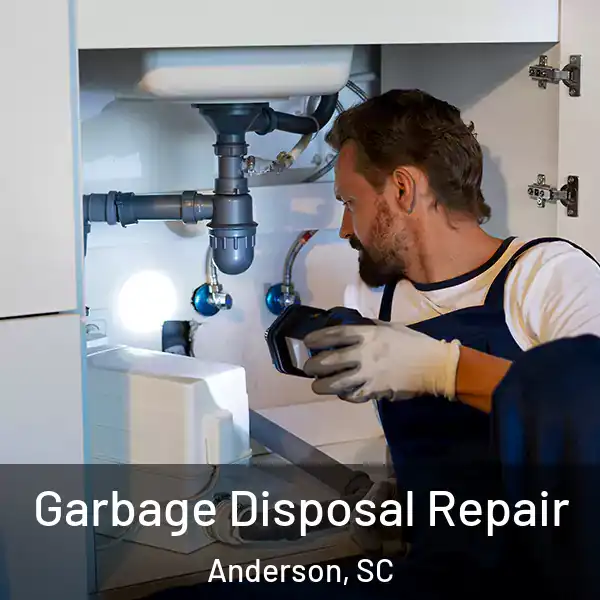 Garbage Disposal Repair Anderson, SC