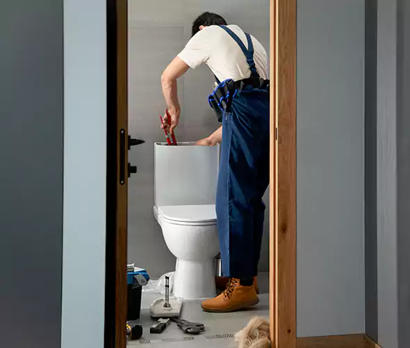 Professional Plumbers for Toilet Bowl Replacement in Greenville, SC: Schedule Affordable Toilet Replacement Services With Us