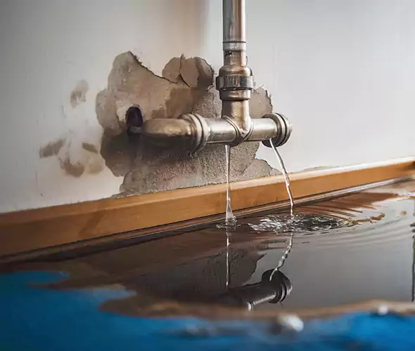 Professional Water Damage Restoration Experts in Greenville, SC — Fast, Reliable & Certified