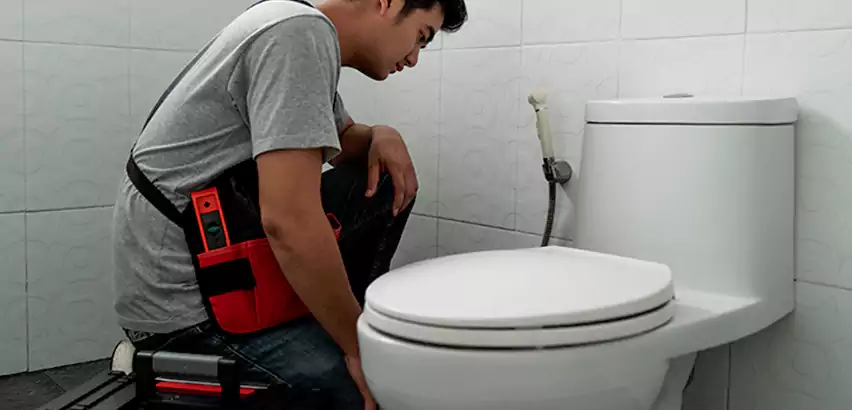 Toilet Repair in Greenville
