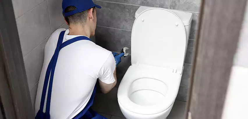 Toilet Lid Replacement in Greenville