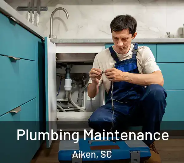  Plumbing Maintenance Aiken, SC