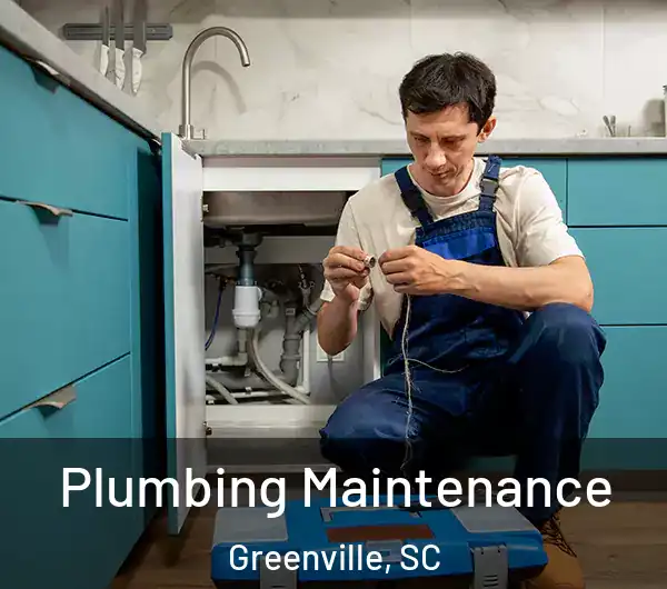 Plumbing Maintenance Greenville, SC