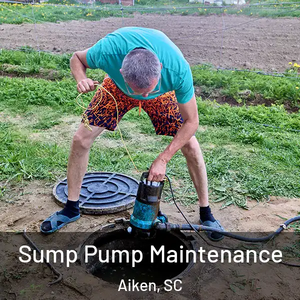  Sump Pump Maintenance Aiken, SC