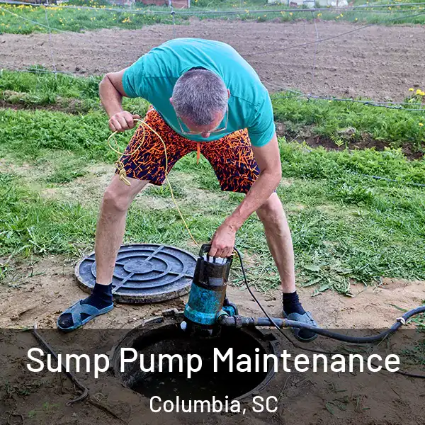  Sump Pump Maintenance Columbia, SC
