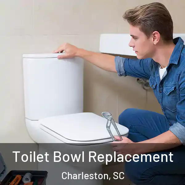  Toilet Bowl Replacement Charleston, SC