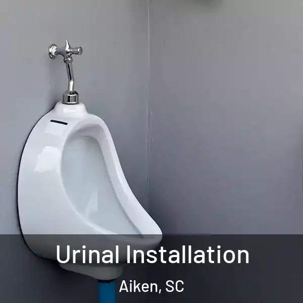  Urinal Installation Aiken, SC