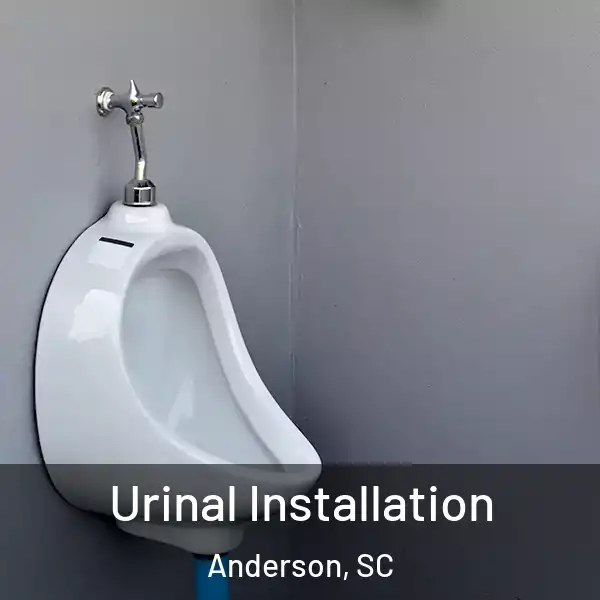  Urinal Installation Anderson, SC