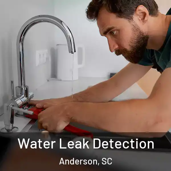  Water Leak Detection Anderson, SC