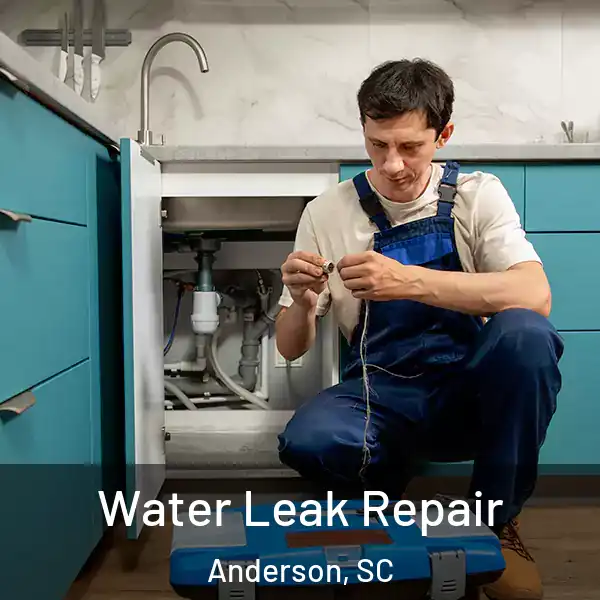  Water Leak Repair Anderson, SC