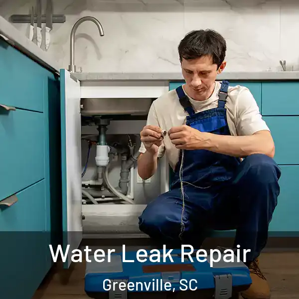  Water Leak Repair Greenville, SC